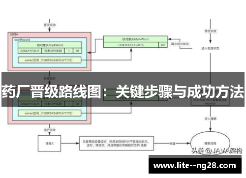 药厂晋级路线图：关键步骤与成功方法