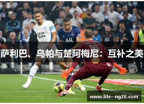 萨利巴、乌帕与楚阿梅尼：互补之美