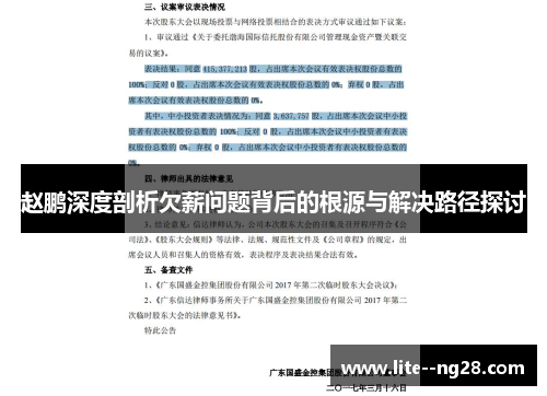 赵鹏深度剖析欠薪问题背后的根源与解决路径探讨