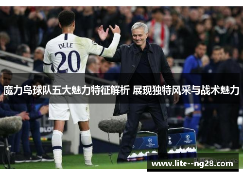 魔力鸟球队五大魅力特征解析 展现独特风采与战术魅力