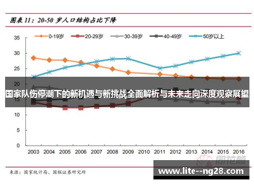 国家队伤停潮下的新机遇与新挑战全面解析与未来走向深度观察展望