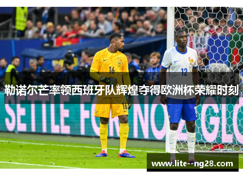 勒诺尔芒率领西班牙队辉煌夺得欧洲杯荣耀时刻